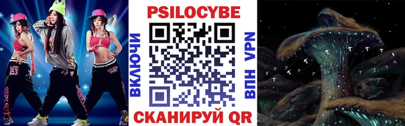 купить наркотики цена  Кодинск  Галлюциногенные грибы Psilocybine cubensis 